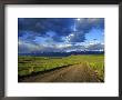 Gravel Road In The National Bison Range, Mission Mountains, Montana, Usa by Chuck Haney Limited Edition Print