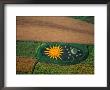 Aerial Of Decorative Corn Field, Lancaster, Usa by Jim Wark Limited Edition Print