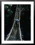 Trekking Group Crossing Rope Bridge In The New Guinea Highlands, East Sepik, Papua New Guinea by Chester Jonathan Limited Edition Print