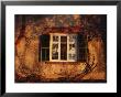 Bare Vines Twine Around A Window Bathed In Golden Light by Melissa Farlow Limited Edition Print