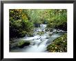Stock Ghyll Beck, Ambleside, Lake District, Cumbria, England by Kathy Collins Limited Edition Print