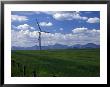 Wind Energy Development, Montana, Usa by Diane Johnson Limited Edition Print