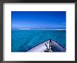 Bow Of Inflatable Dinghy, Fiji by Casey Mahaney Limited Edition Print