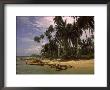 Limon Beach, Puerto Viejo, Costa Rica by Glen Davison Limited Edition Print