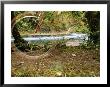 A Bicycle Zooms By In This Double-Exposed Photograph by Roy Toft Limited Edition Pricing Art Print