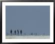 Bushmen Armed With Bows And Arrows Cross A Salt Pan by Chris Johns Limited Edition Print