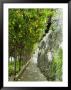 Lemon Groves, Amalfi Coast, Campania, Italy, Europe by Mark Mawson Limited Edition Pricing Art Print