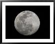 Full Moon In Black And White by Arthur Morris Limited Edition Print