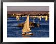 Feluccas On Nile River, Aswan, Egypt by Wayne Walton Limited Edition Pricing Art Print