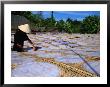 Drying Rice Paper Before Cutting Into Noodles, Vietnam by Patrick Syder Limited Edition Print