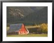 Red Barn In Fall, British Columbia, Canada by Walter Bibikow Limited Edition Print