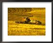 Combines Harvesting Crop, Palouse, Washington, Usa by Terry Eggers Limited Edition Print