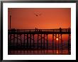 Newport Beach Pier, California, Usa by Nik Wheeler Limited Edition Pricing Art Print