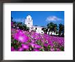 Flowerbed And Junipero Serra Museum, Presidio Park, Old Town, San Diego, United States Of America by Richard Cummins Limited Edition Print