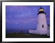 A Lighthouse Visitor Enjoys A Twilight View Of The Maine Coast by Stephen St. John Limited Edition Print