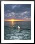 The Fin Of A Blacktip Shark Pokes Above The Waters Surface At Sunset by Brian J. Skerry Limited Edition Pricing Art Print