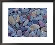 Pebbles At St. Mary Lake, Glacier National Park, Montana, United States Of America, North America by James Hager Limited Edition Print