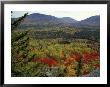 Fall Colors In Wassataquoik Valley, Northern Hardwood Forest, Maine by Jerry & Marcy Monkman Limited Edition Print