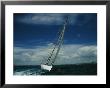 Americas Cup Boat America True Sailing On A Starboard Tack by Todd Gipstein Limited Edition Print