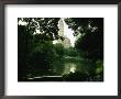 A View Of A Pond And Lush Foliage In Central Park; The Pond Is In The Southeast Corner Of The Park by Melissa Farlow Limited Edition Print