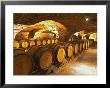 Oak Barrels In Cellar At Domaine Comte Senard, Aloxe-Corton, Bourgogne, France by Per Karlsson Limited Edition Print