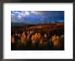 Evening Sunlight Over Mt. Sneffels Wilderness Area, South Carolina, Usa by Rob Blakers Limited Edition Print