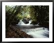 Water Flows Over A Man-Made Waterfall Near Lake Quinault by Sam Abell Limited Edition Pricing Art Print