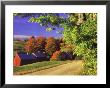 Red Barns Along Countryside, Vermont by Russell Burden Limited Edition Print