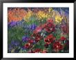 Impressionistic Pansies by David Carriere Limited Edition Print