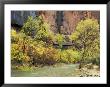 Virgin River In The Upper Zion Region, Zion National Park, Utah, Usa by Jamie & Judy Wild Limited Edition Print