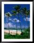 Lydgate Park, Wailua, Kauai, Hawaii, Usa by Ann Cecil Limited Edition Print
