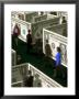 Businessman Walking Through Maze Of Money by Carol & Mike Werner Limited Edition Print