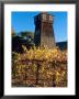 Water Tank Tower At The Handley Cellars Winery, Mendocino County, California, Usa by John Alves Limited Edition Print