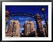 Preservation Park And Federal Towers, Oakland, California, Usa by Curtis Martin Limited Edition Print