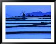 Windmill And Surrounding Saltpans On The Island Of San Pantaleo, Sicily, Italy by Dallas Stribley Limited Edition Print