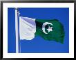 National Flag, Pakistan by Chris Mellor Limited Edition Print