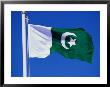 National Flag, Pakistan by Chris Mellor Limited Edition Pricing Art Print