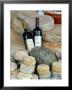 Wine And Cheese At Open-Air Market, Lake Maggiore, Arona, Italy by Lisa S. Engelbrecht Limited Edition Print