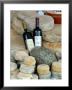 Wine And Cheese At Open-Air Market, Lake Maggiore, Arona, Italy by Lisa S. Engelbrecht Limited Edition Pricing Art Print