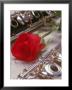 Clarinet And Flute On Sheet Music With Rose by Tomas Del Amo Limited Edition Print