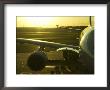 Aircraft Awaiting Departure At Sydney Airport, Sydney, Australia by Glenn Beanland Limited Edition Print