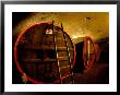 Wine Barrels In The Cellar Of Chateau De Cercy, Burgundy, France by Lisa S. Engelbrecht Limited Edition Print