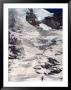 Hiker And Face Of Mt. Rainier, Wa by Yvette Cardozo Limited Edition Print