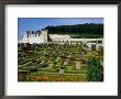 Chateau De Villandry Vegetable Garden, Villandry, France by Diana Mayfield Limited Edition Pricing Art Print