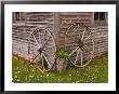 Old Wooden Barn With Wagon Wheels In Rural New England, Maine, Usa by Joanne Wells Limited Edition Print