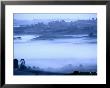 Mist Over Central North Island, New Zealand by Michael Coyne Limited Edition Print