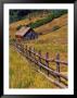 Barn On Last Dollar Road Near Telluride, Colorado, Usa by Julie Eggers Limited Edition Print
