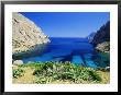 Bay Near Puerto Pollensa, Mallorca (Majorca), Balearic Islands, Spain, Europe by John Miller Limited Edition Pricing Art Print