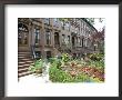 Brownstone In Brooklyn, New York, Usa by Lynn Seldon Limited Edition Pricing Art Print