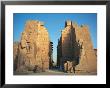 Statues Of Karnak, Temple Of Luxor, Egypt by Michael Howell Limited Edition Print